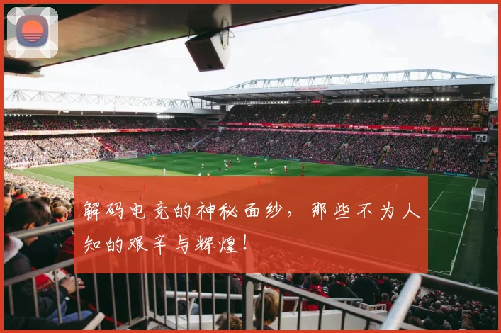 解码电竞的神秘面纱，那些不为人知的艰辛与辉煌！